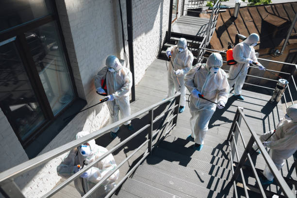Best HVAC Mold Inspection and Cleaning  in Stock Island, FL