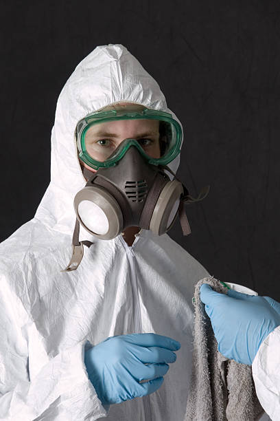 Professional Mold Removal in Stock Island, FL